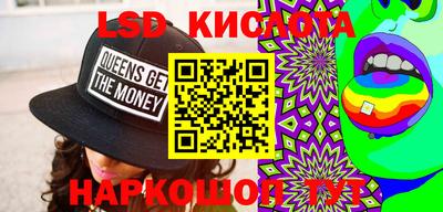 PSILOCYBIN Кунгур