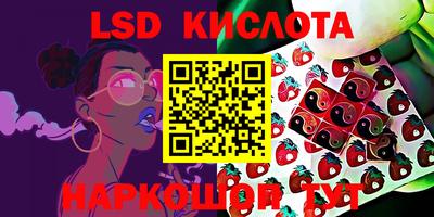 PSILOCYBIN Кунгур