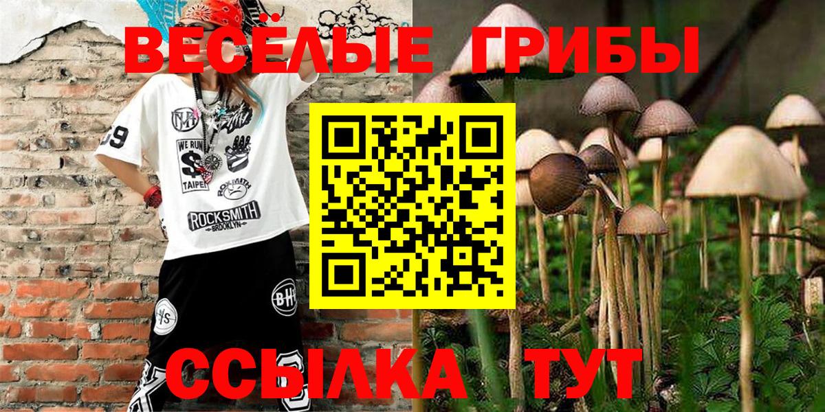 Псилоцибиновые грибы GOLDEN TEACHER Ковров