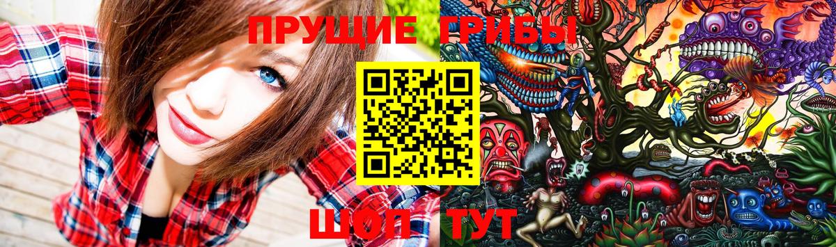 Псилоцибиновые грибы MAGIC MUSHROOMS  Вход с VPN  Псилоцибиновые грибы GOLDEN TEACHER  Ковров 